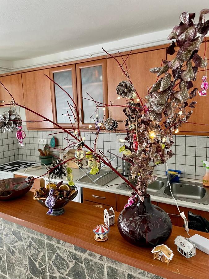 ボヴェツApartma Pri Sociアパートメント エクステリア 写真